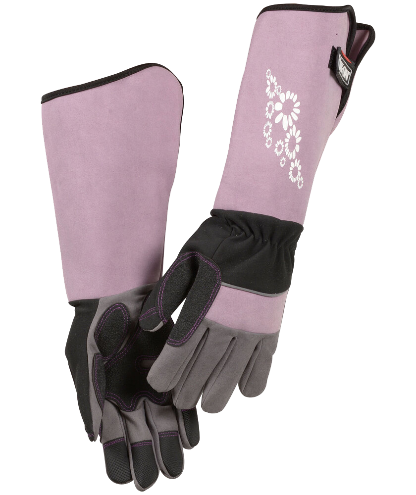 Rose gloves protect against thorns